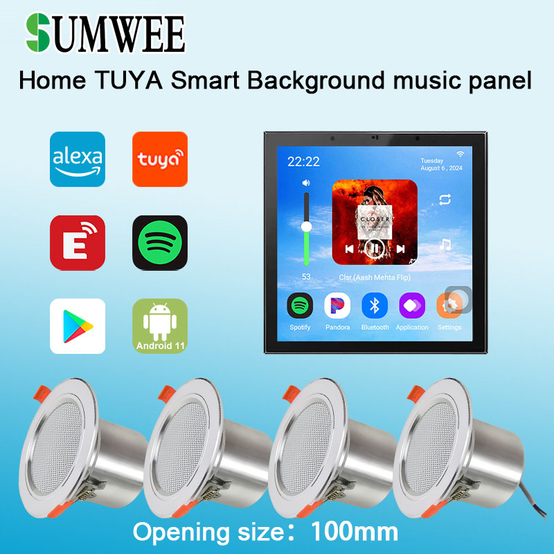 4 Inch Android 11 Tuya Smart H - Audio Music Background recension och pris