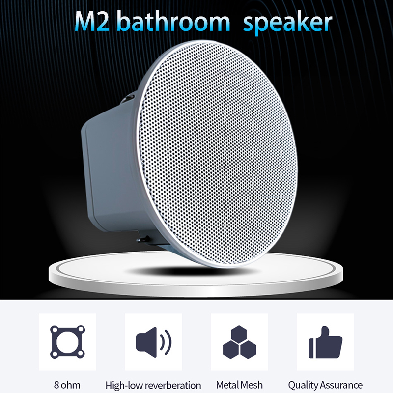2Inch Mini 8 Ohm Ceiling Speak - Audio Music Background recension och pris